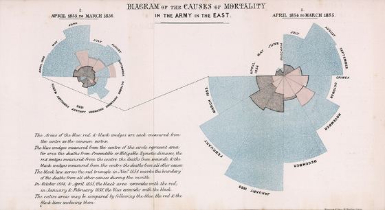 Diagram of the Causes of Mortality in the Army in the East, Florence Nightingale